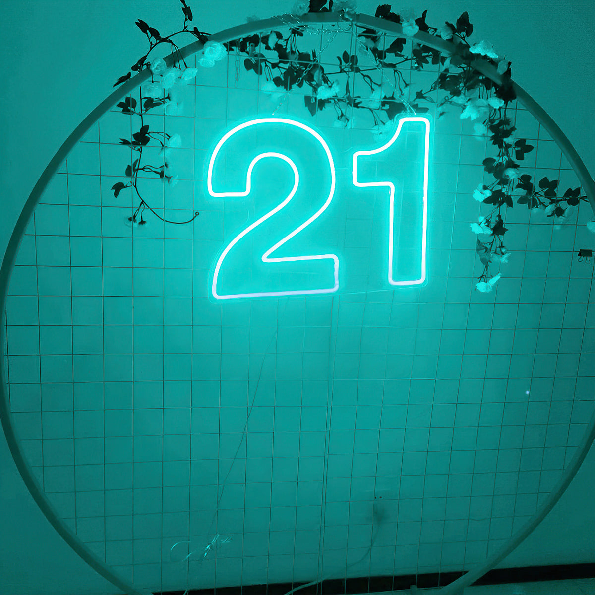 21st Birthday Neon Led Sign