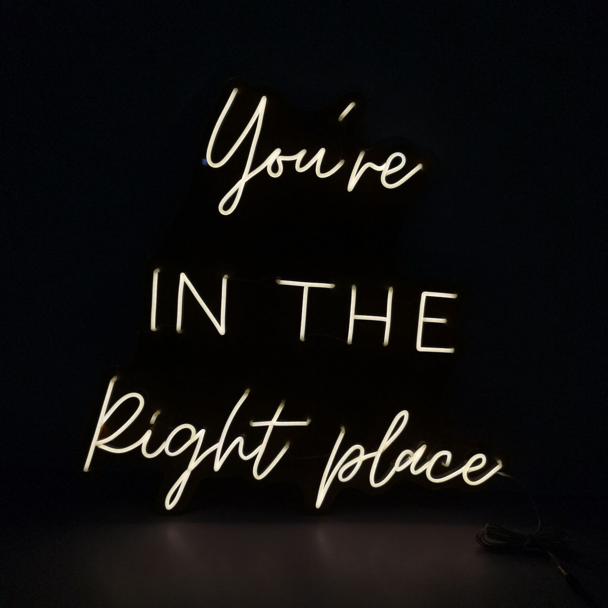 &quot;You&#39;re in the right place&quot; Neon Led Sign