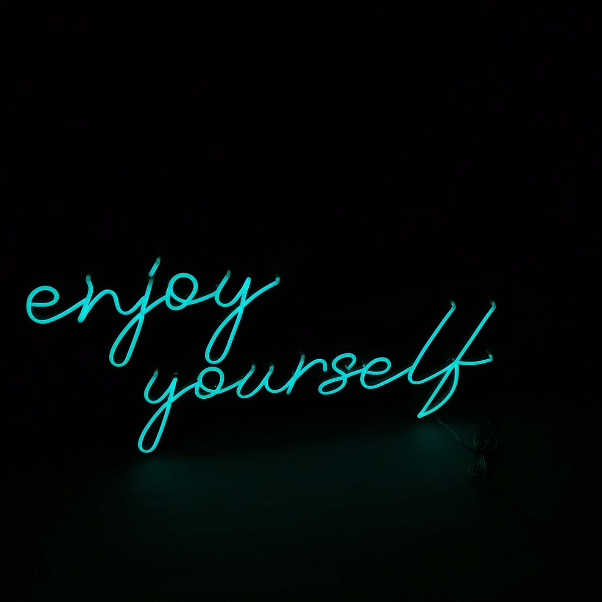“enjoy yourself&quot; Neon Led Sign