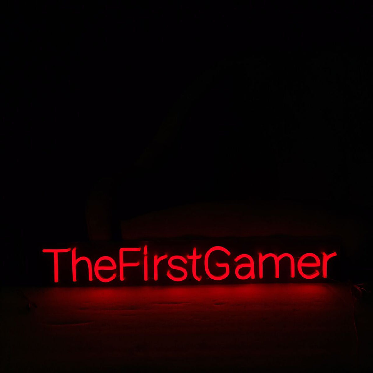 &quot;TheFirstGamer&quot; Neon Led Sign